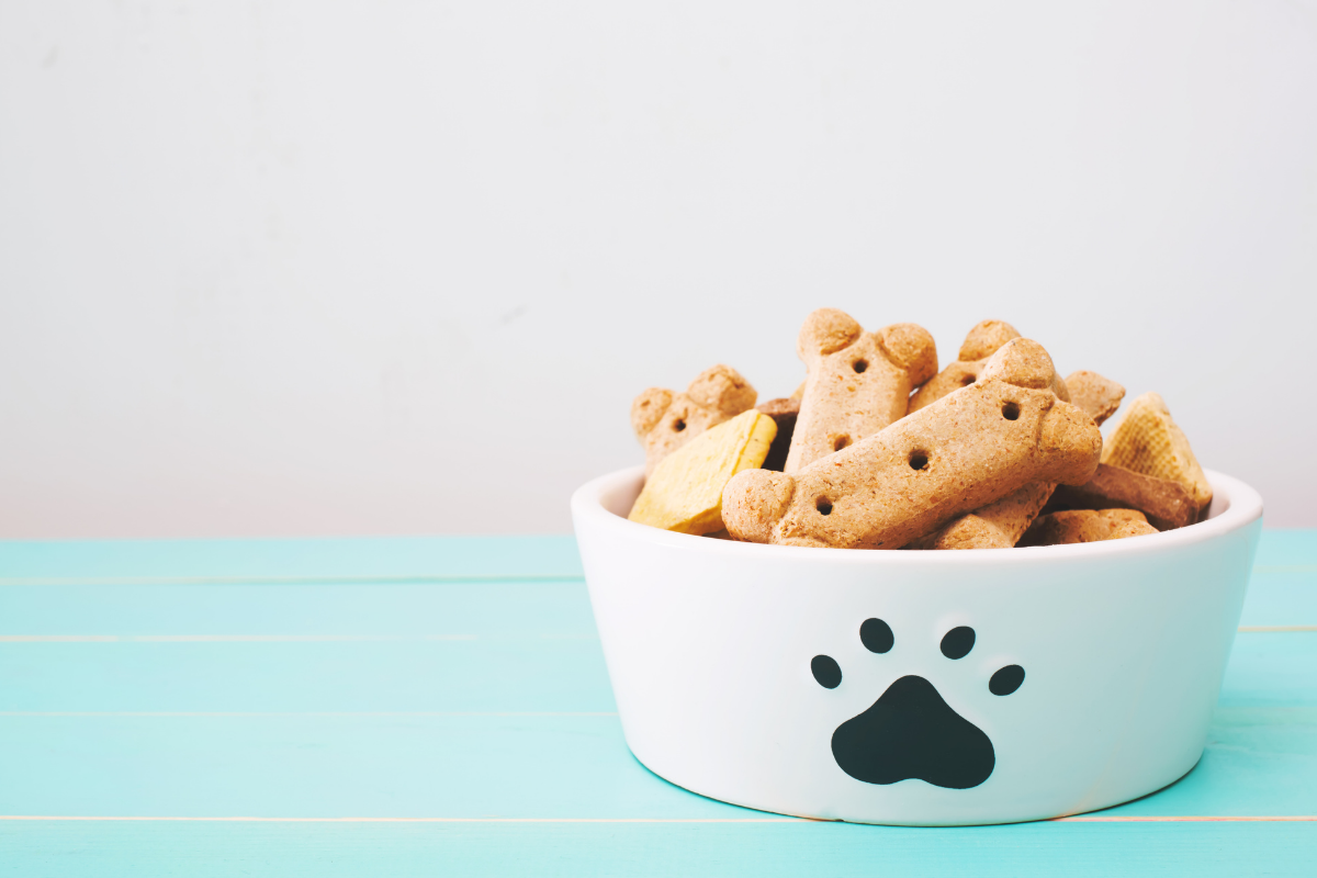 Dog friendly restaurant Shepperton